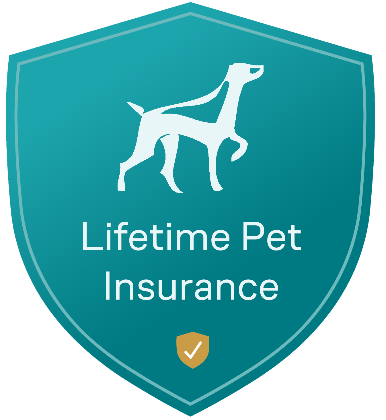 Pet insurance in partnership with Pet Proactive
